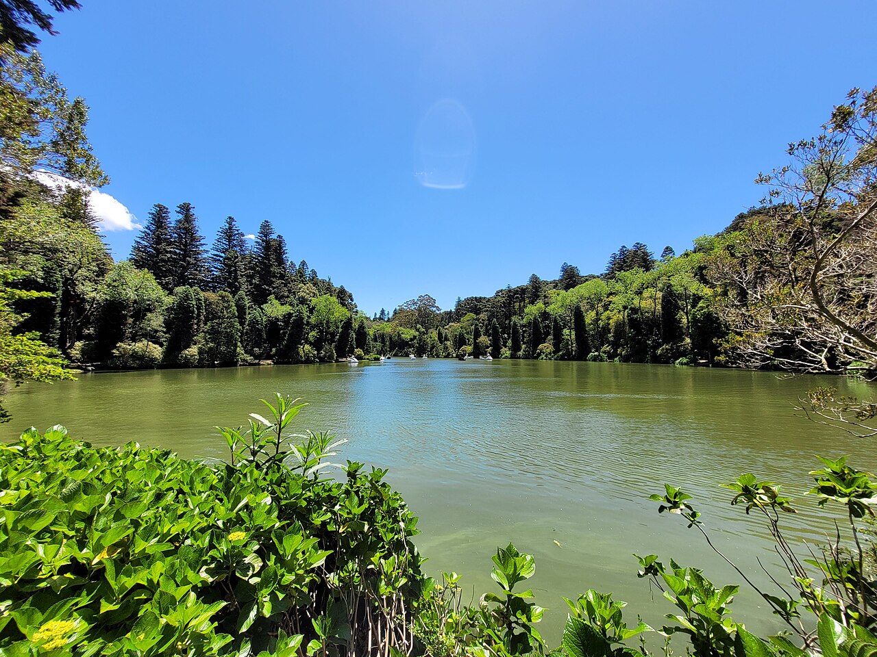 Lago Negro e vegetação em Gramado